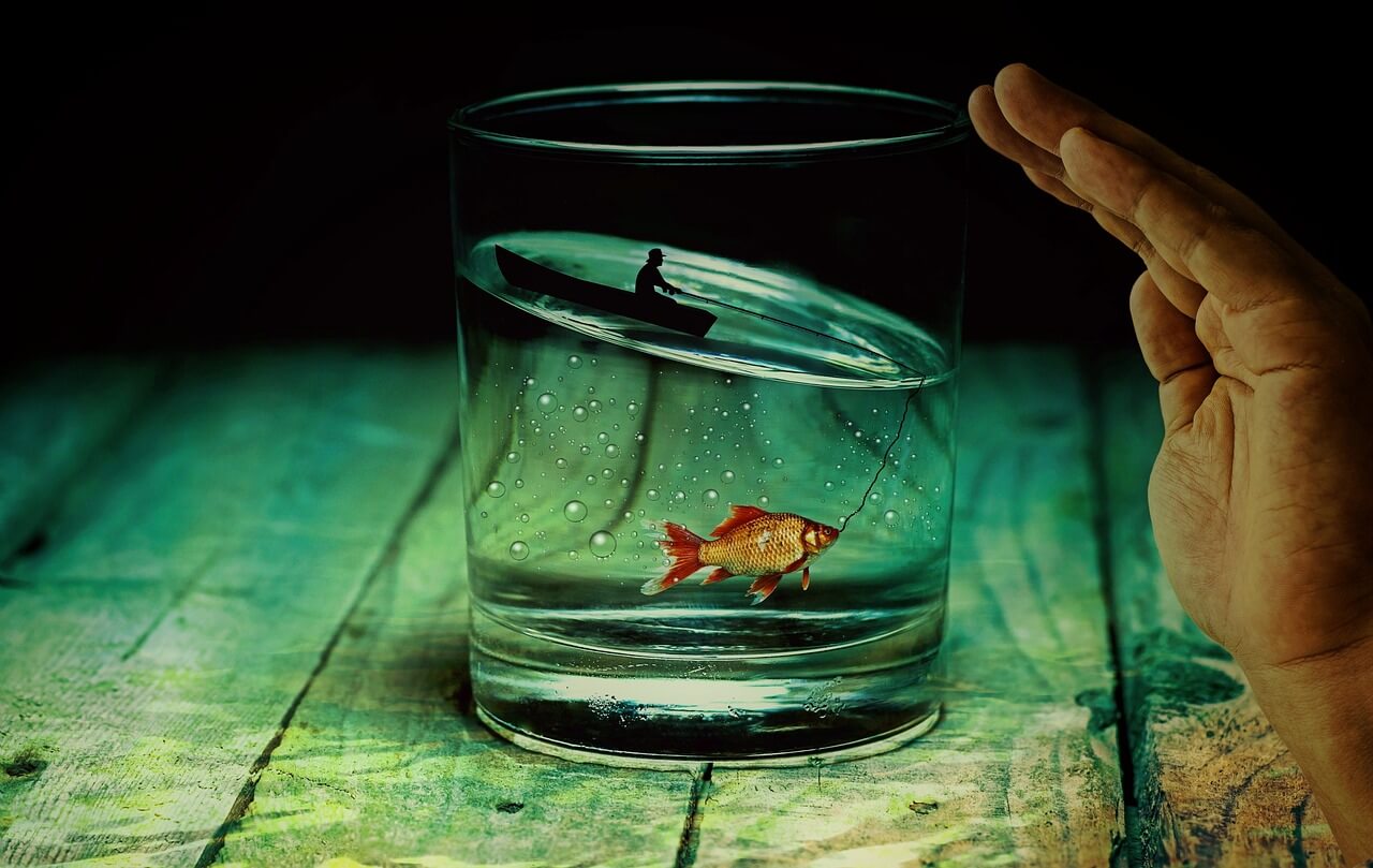 כוס מים עם דג