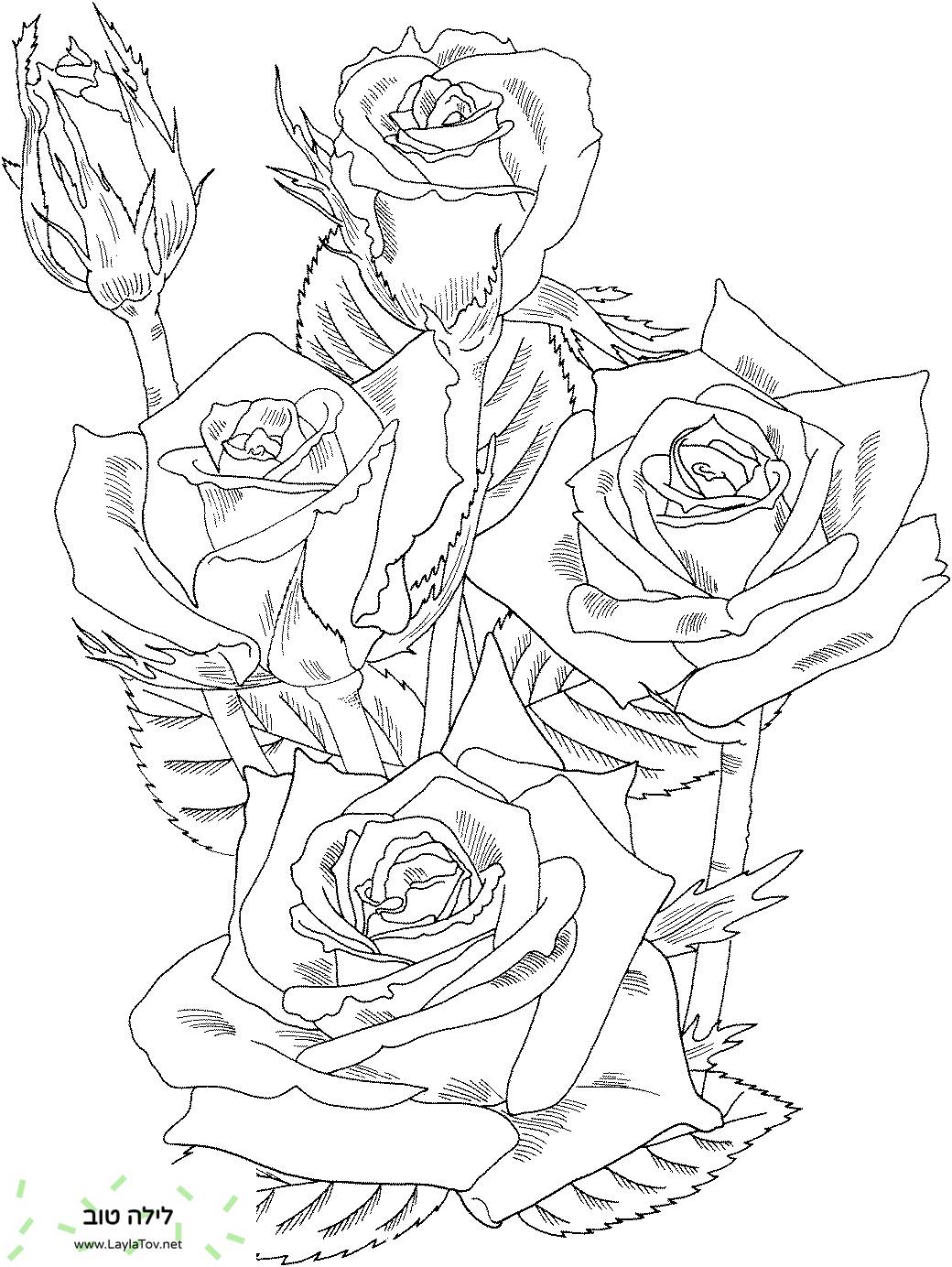 ורדים בולטים של בוש גרנדיפלורה