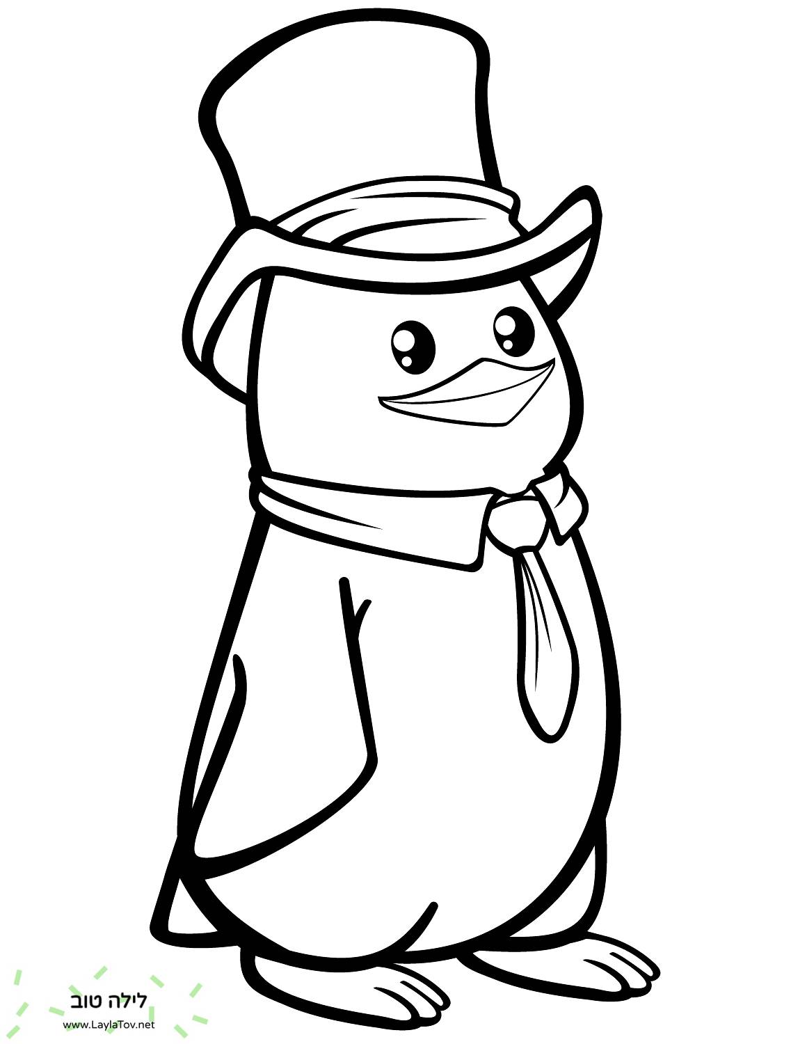 פינגווין קוטבי עם כובע עליון