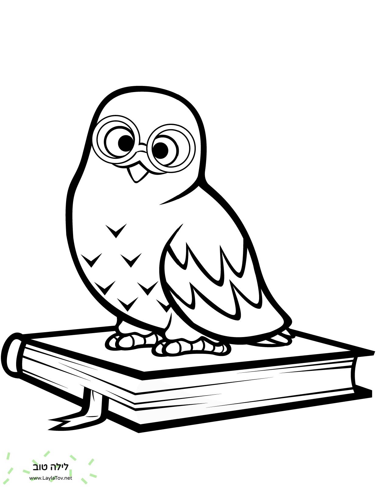 ינשוף קוטב יושב על ספר