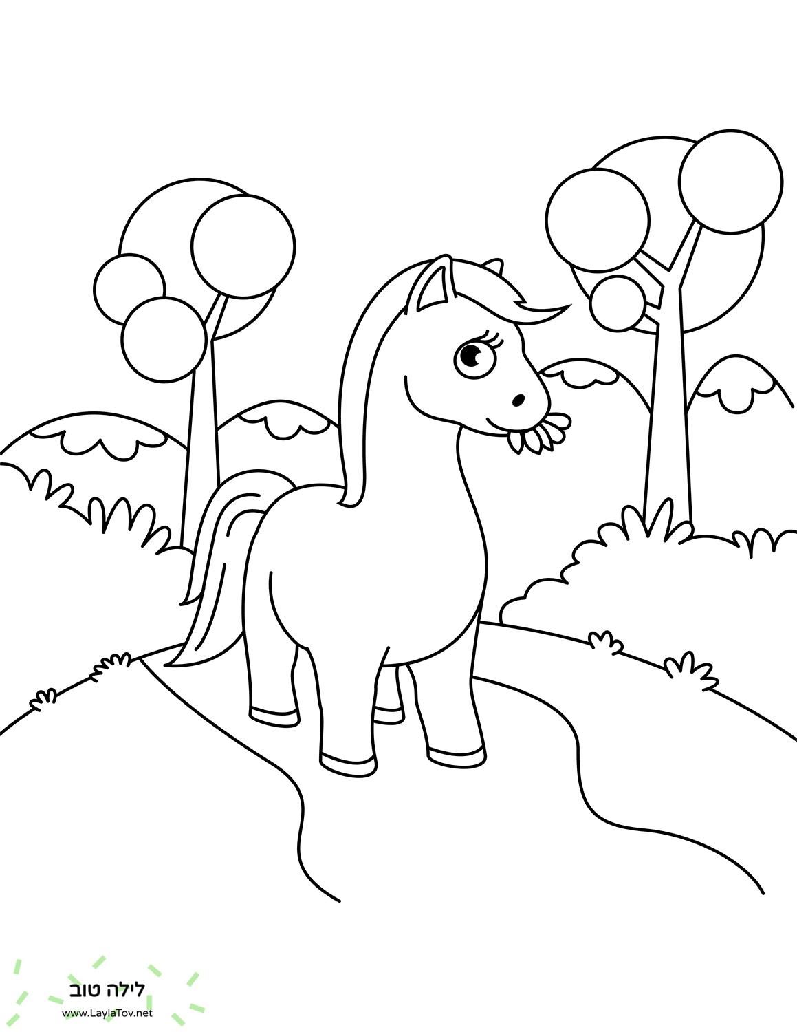 סוס חמוד לועס דשא