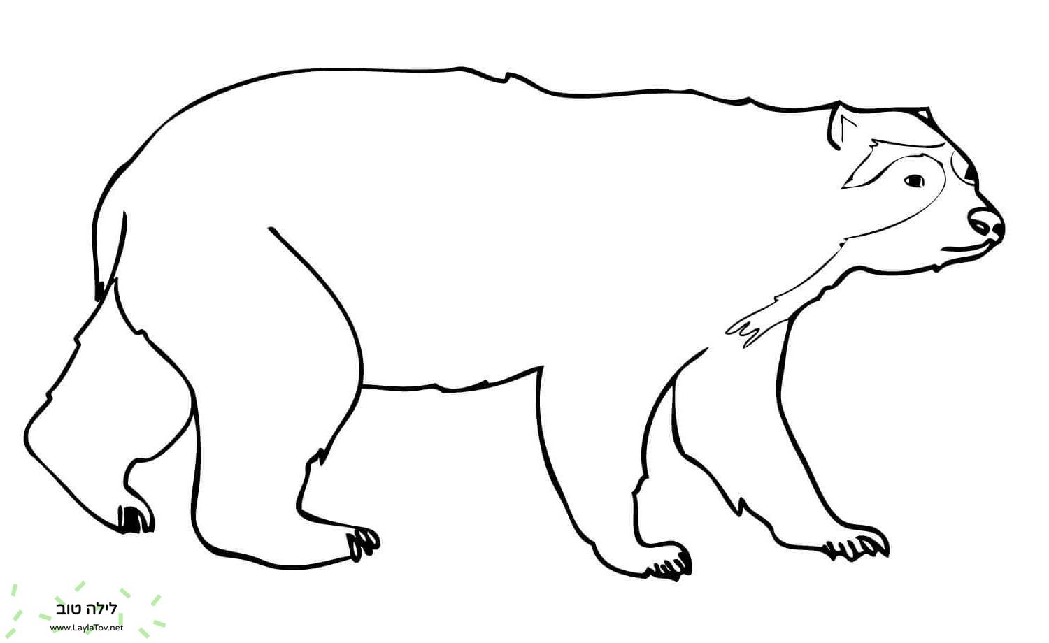 דוב האנדים עם משקפיים