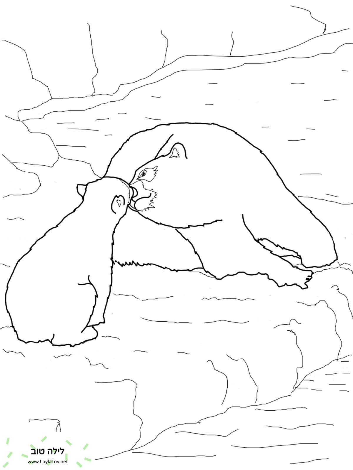דוב קוטב תינוק ואמא
