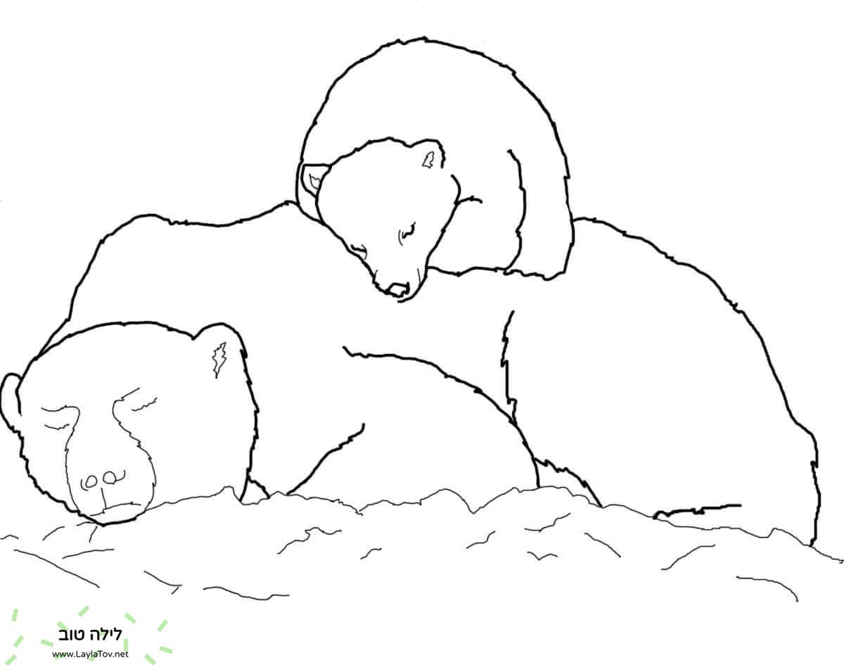 גור דוב קוטב ישן על גבה של אמא