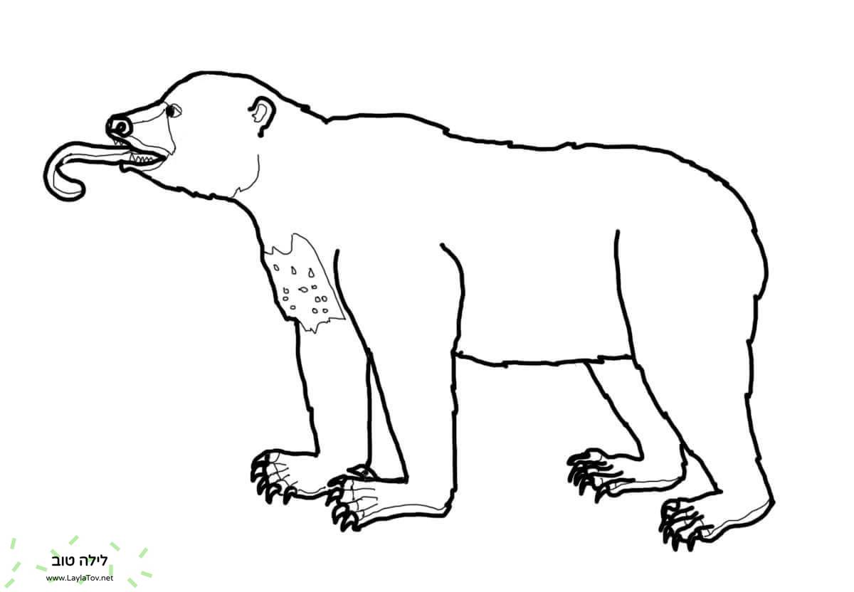 דוב שמש בעל לשון ארוכה מאוד