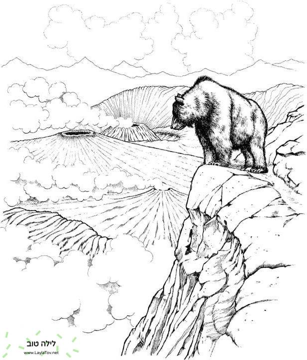 דוב חום המשקיף על הרי געש בפארק הלאומי קטמאי