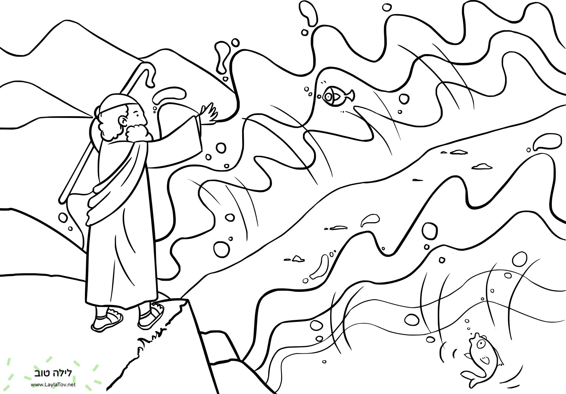 משה חולק את ים סוף
